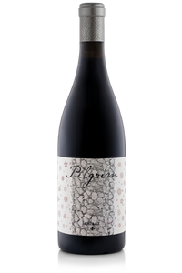 Pilgrim Shiraz 2020